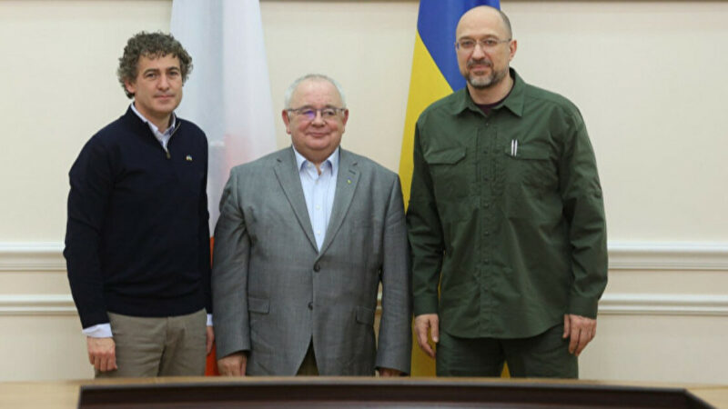 Шмигаль обговорив зі спікерами парламенту Ірландії підтримку України