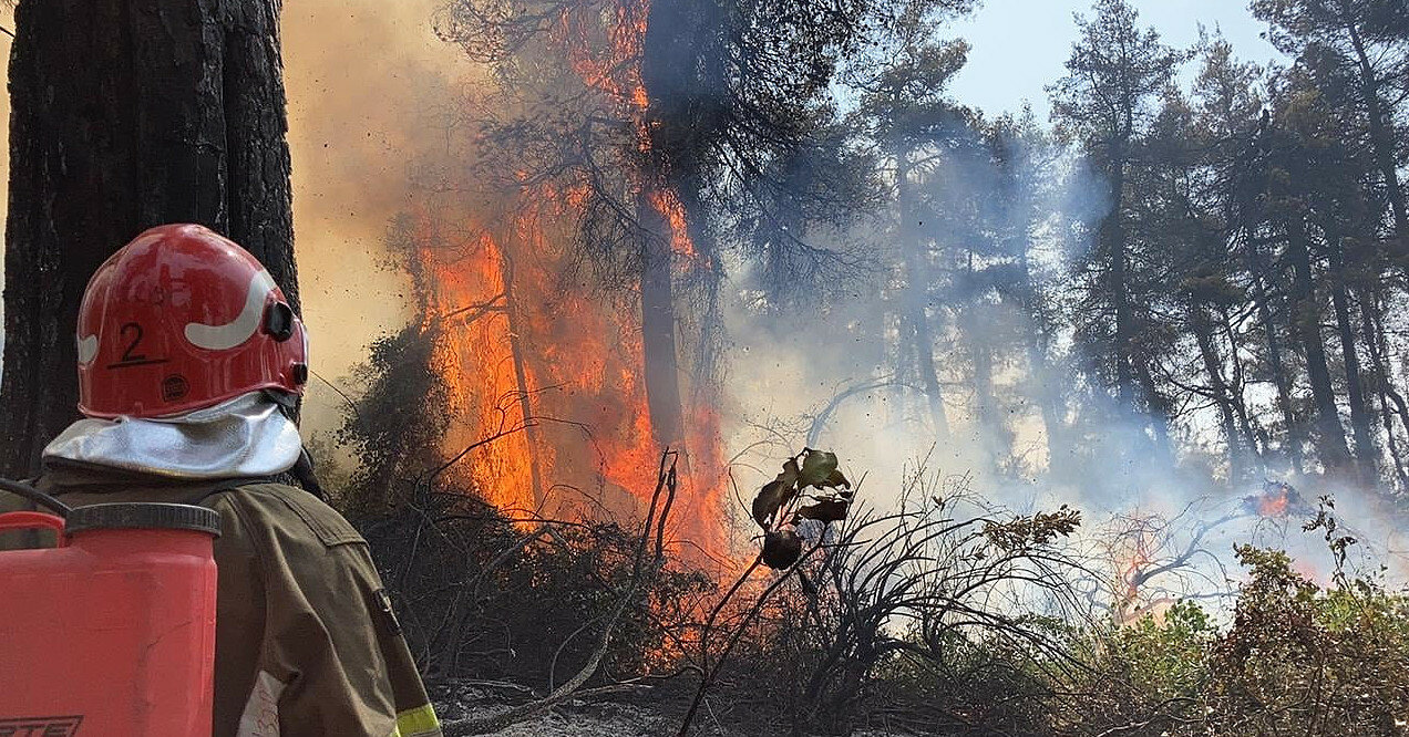 У Франції вирують масштабні лісові пожежі