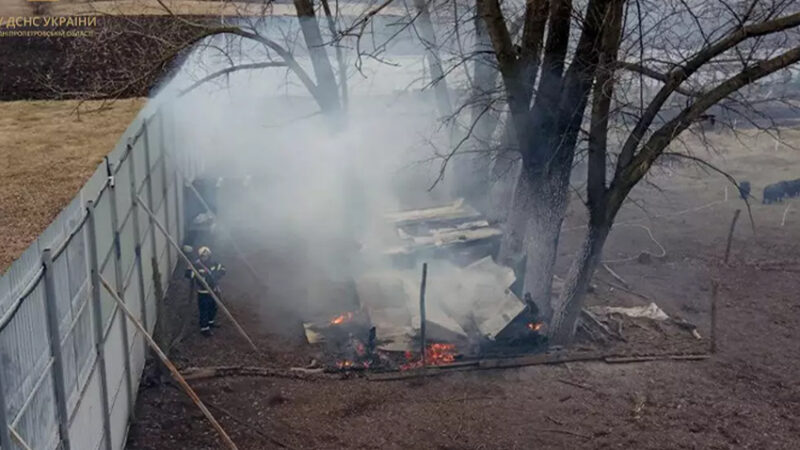 У Дніпровському районі заживо згоріли свійські тварини