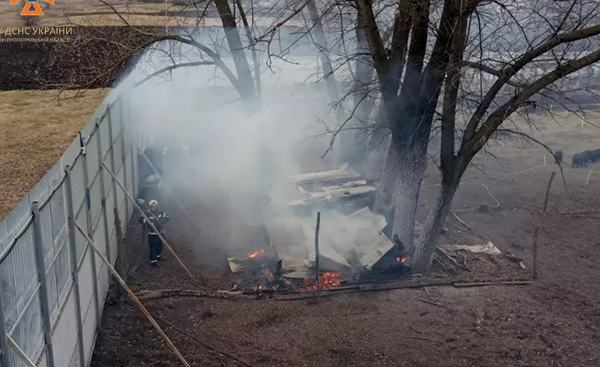 У Дніпровському районі заживо згоріли свійські тварини