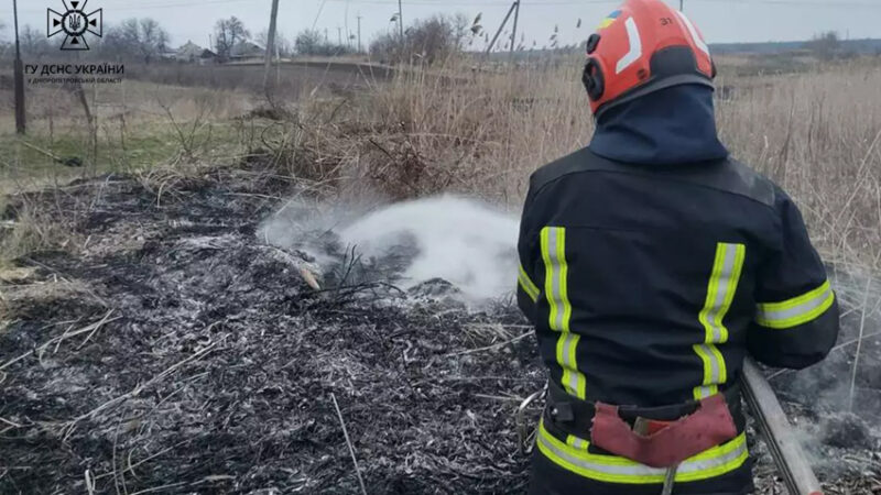 Чергове займання сухостою: рятувальники Дніпропетровщини ліквідували займання у Новомосковському районі