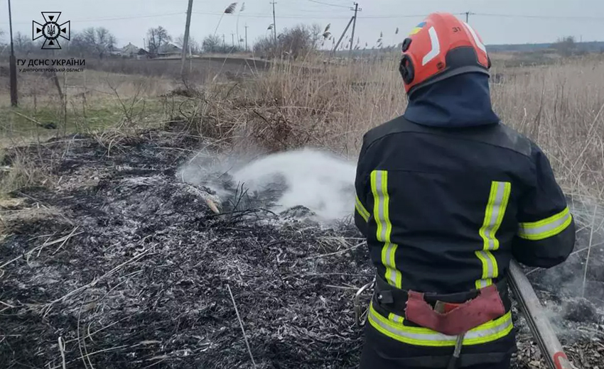 Чергове займання сухостою: рятувальники Дніпропетровщини ліквідували займання у Новомосковському районі