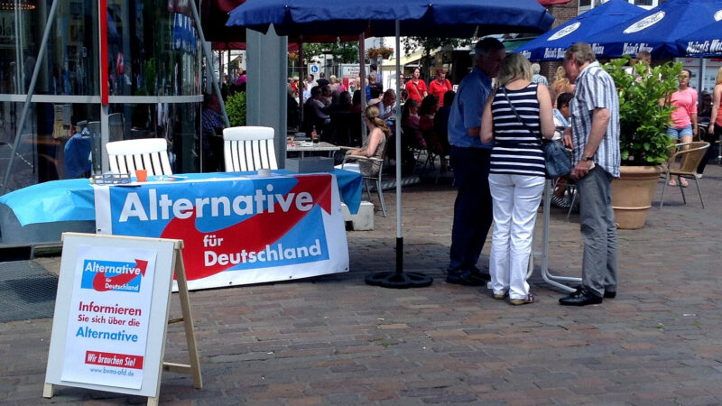 Ультраправа AfD у Німеччині виперджає партію Шольца — опитування