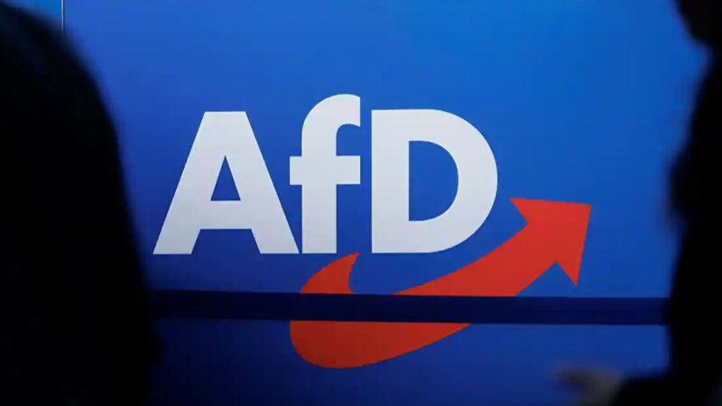 У Німеччині пропонують заборонити праворадикальну партію AfD