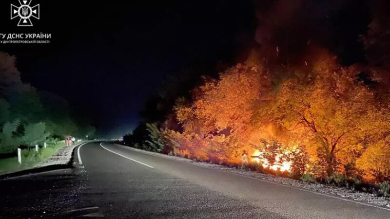 Вилетів на узбіччя та спалахнув: подробиці ДТП у Камʼянському районі