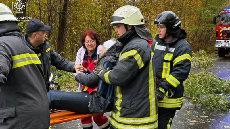 Зʼїхала з дороги та зіткнулася з деревом: надзвичайники Дніпровського району врятували 70-річну водійку Renault