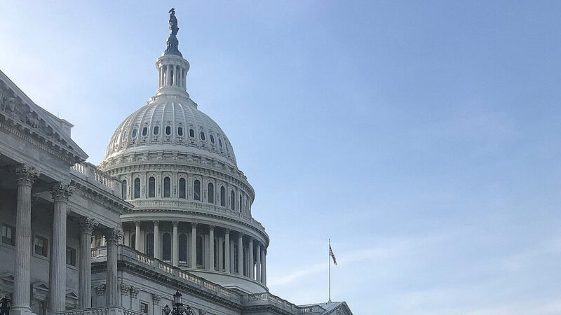 У Палаті представників США підтримали передачу Україні заморожених активів РФ