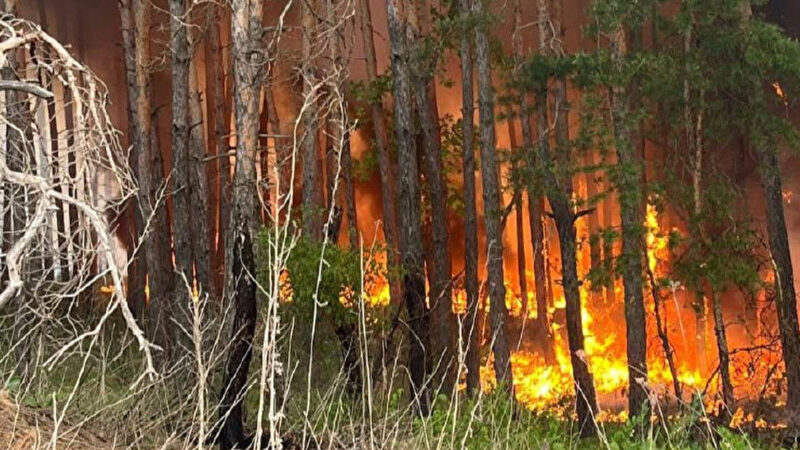 На Харківщині пожежі, вогнем охоплено майже 4 тисячі гектарів лісу