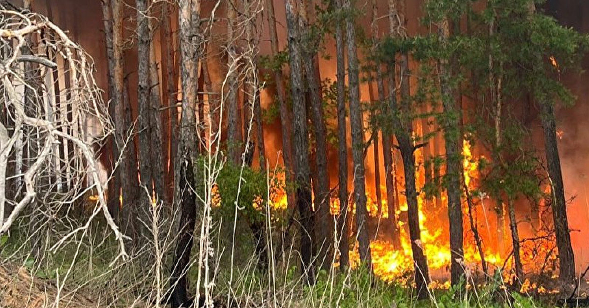 На Харківщині пожежі, вогнем охоплено майже 4 тисячі гектарів лісу