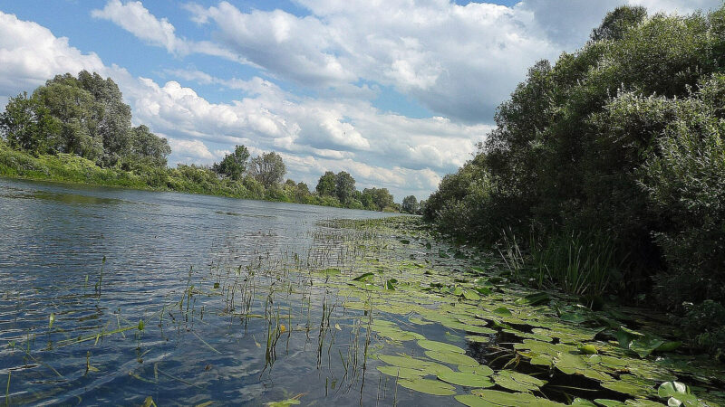 У міністерстві прокоментували ситуацію з якістю води у річках Сейм та Десна