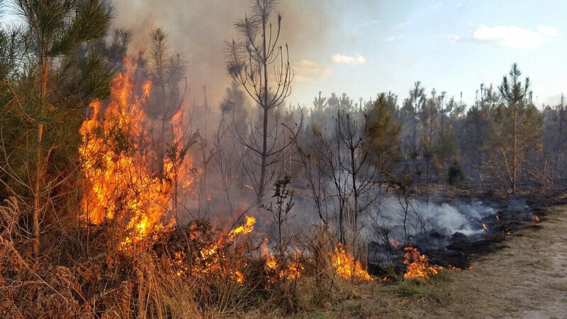 На окупованій частині Луганщини згоріло ціле село – ОВА