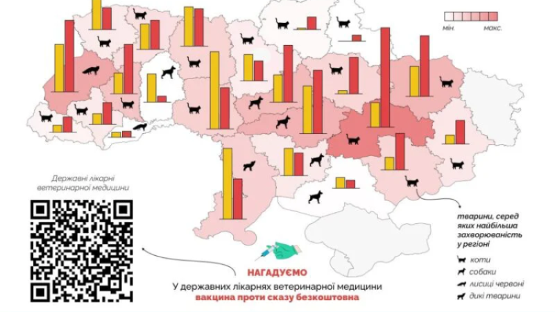 Дніпропетровщина посіла перше місце за кількістю хворих на сказ тварин