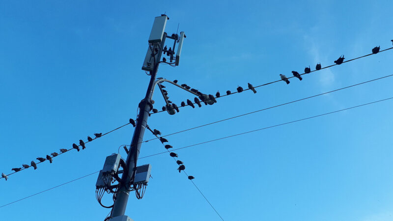 В “Укренерго” зробили заяву про графіки відключень світла на Різдво