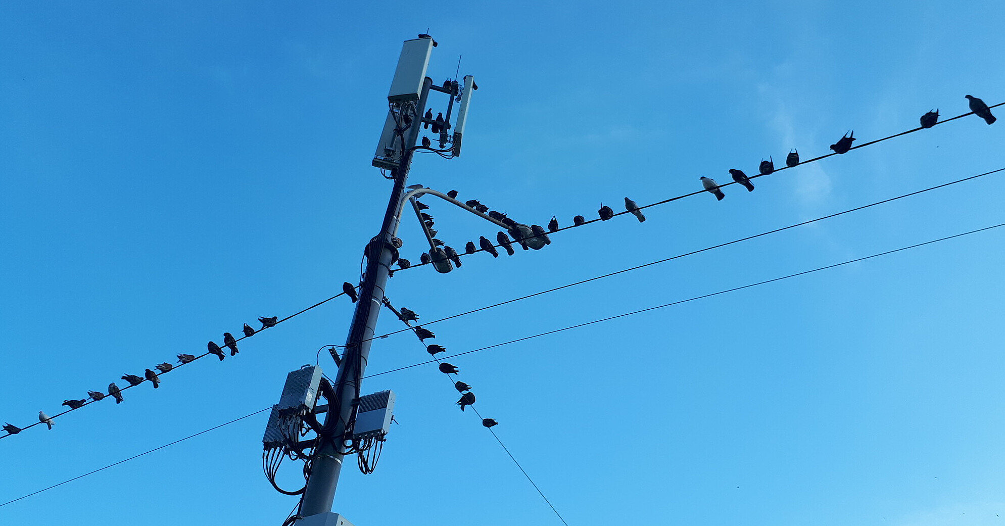 В “Укренерго” зробили заяву про графіки відключень світла на Різдво