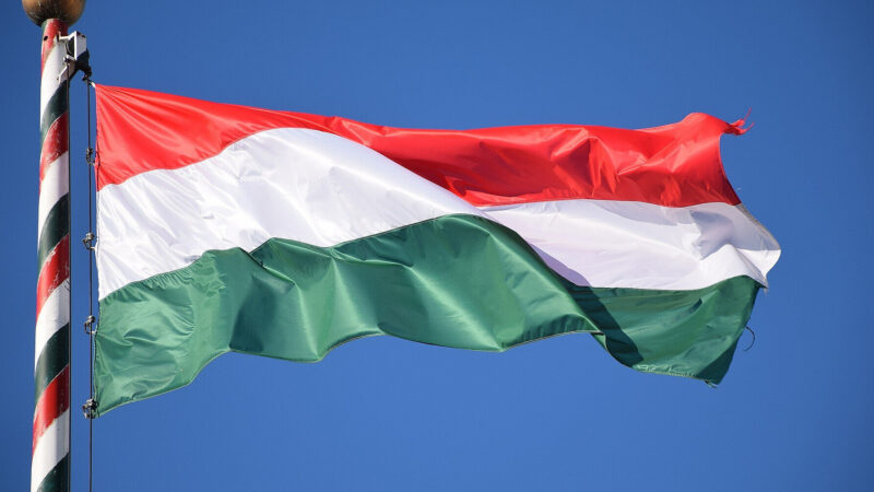 Угорщина заявила про викриття ще двох українських “шпигунів”