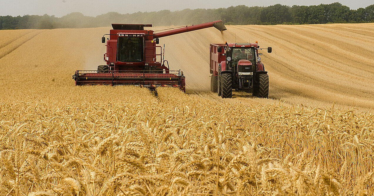 Експорт аграрної продукції з України скоротився вдвічі – УКАБ