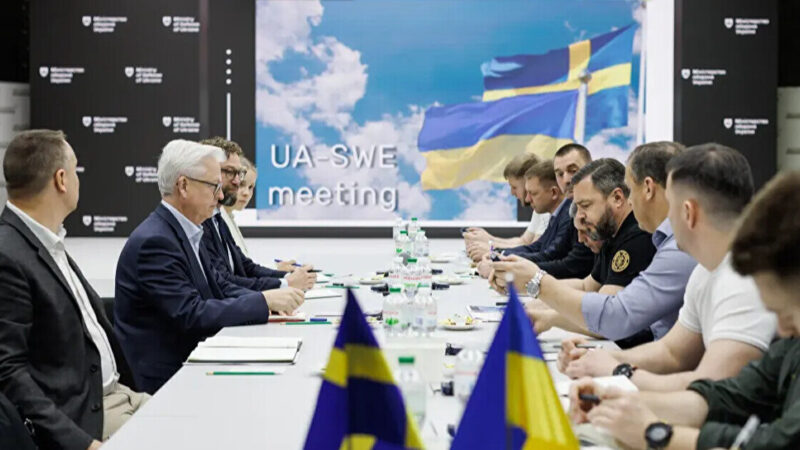 Україна і Швеція обговорили модернізацію авіації: що відомо