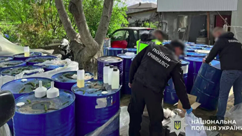 Підпільний наркобізнес: Поліція накрила мережу у 15 областях України