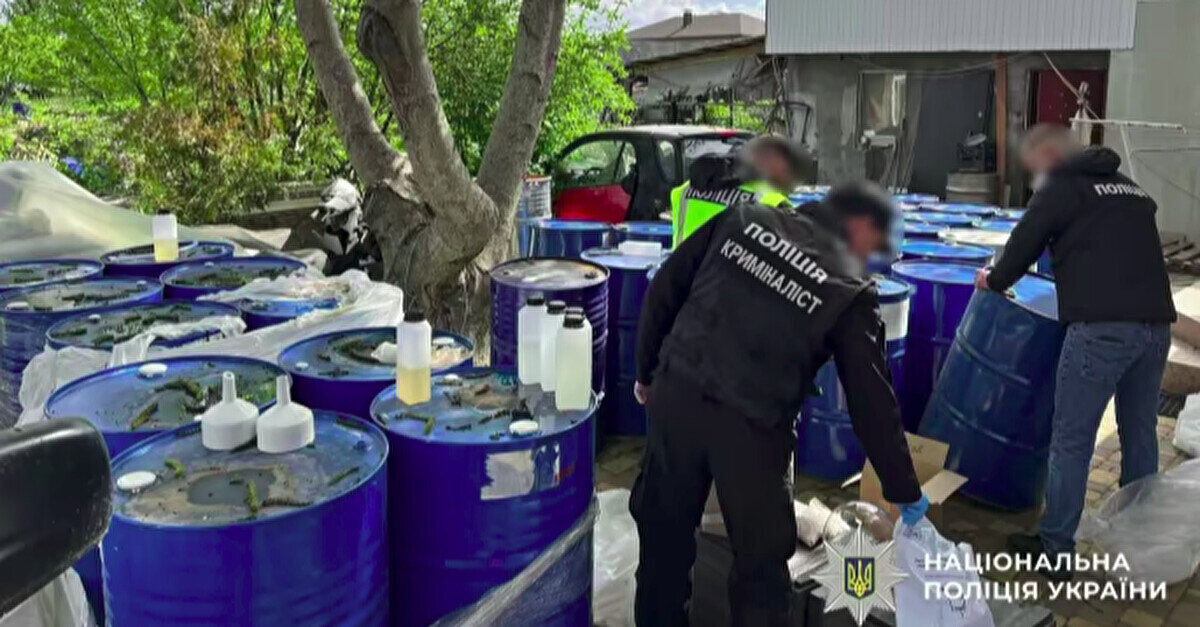 Підпільний наркобізнес: Поліція накрила мережу у 15 областях України