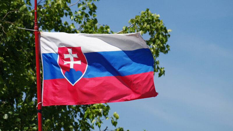 У Словаччині затримали 8 осіб у справі про зловживання військовою допомогою Україні