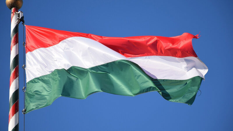 Угорщина ветувала план Ради ЄС щодо заборони російських енергоносіїв