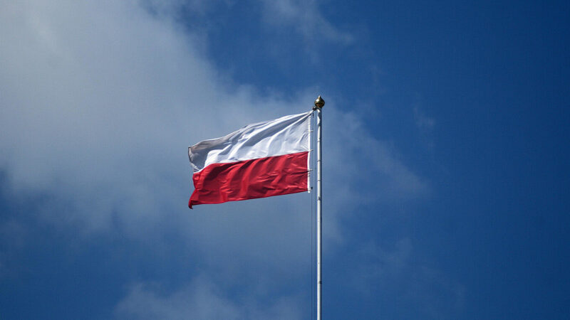 Серед польських партій найбільше зросли рейтинги антиукраїнської “Конфедерації”