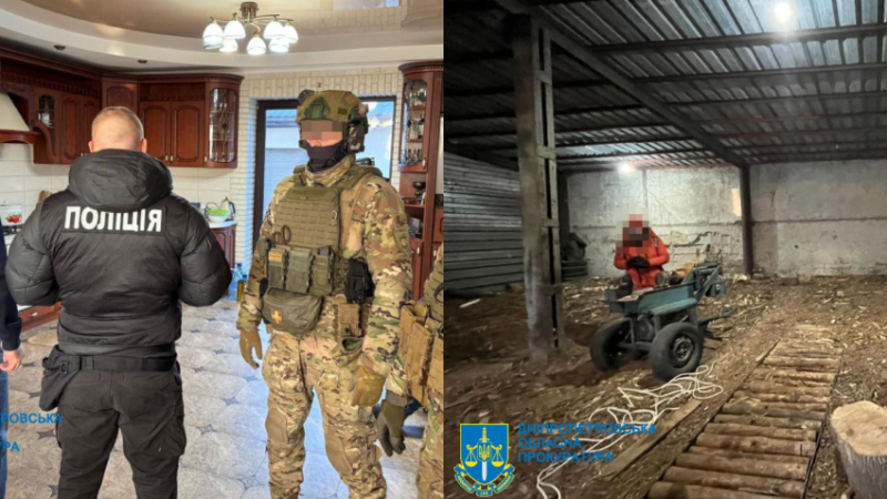 Мільйонні збитки довкіллю: на Дніпропетровщині судитимуть учасників злочинної організації за масштабну вирубку лісу