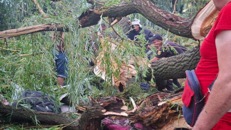 На Одещині дерево впало на намет з підлітками: є жертва