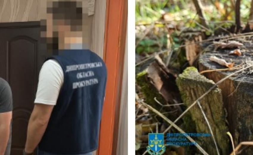 Унаслідок масштабної схеми вирубки лісів на Дніпропетровщині довкіллю завдано збитків на майже 34 млн гривень