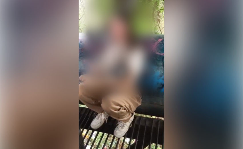 Поставили на коліна, били та плювали в обличчя: у Кривому Розі підлітки знущалися з однолітки
