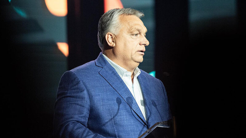 В Угорщині розгорівся скандал через таємну дачу Орбана та парк із зебрами