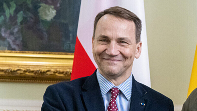 Сікорський оголосив про роботу над двома наступними пакетами військової допомоги для України