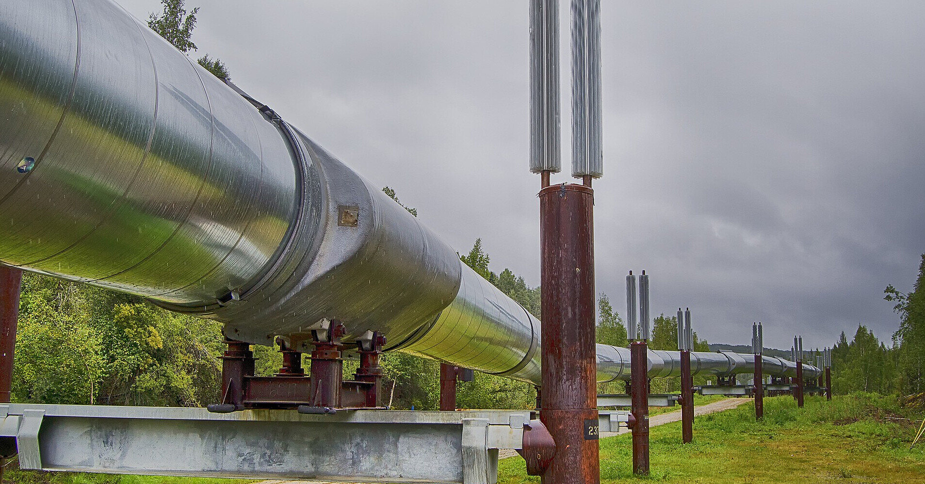 В Угорщину та Словаччину відновилися постачання нафти трубопроводом “Дружба”