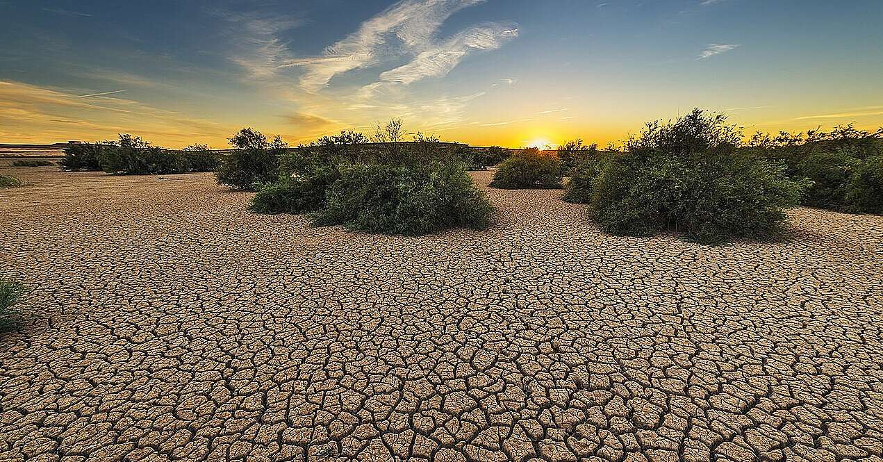 Російська еконміка втратить трильйони через зміни клімату – СЗР