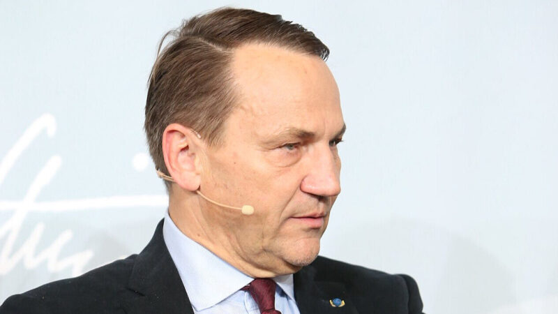 Сікорський: Україна навчатиме Захід боротися з РФ, а не навпаки