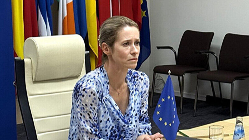 В ЄС відповіли на атаку на місію з розмінування на Чернігівщині