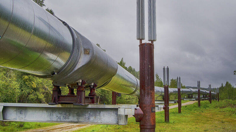 Словаччина та Угорщина не зменшать закупівлю нафти і газу з РФ без альтернатив