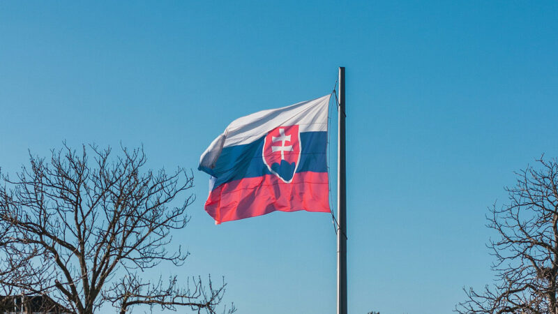 Словаччина не витратить 2% ВВП на оборону у 2026 році – Міноборони