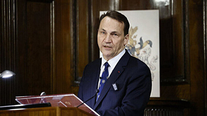 Сікорський поки що не бачить підстав для розриву дипвідносин з Росією