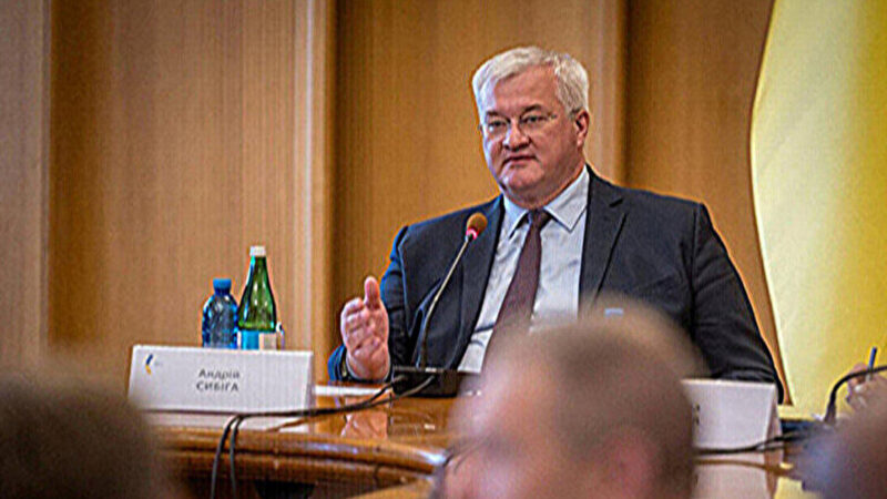 Множинне громадянство в Україні: Кабмін визначив критерії