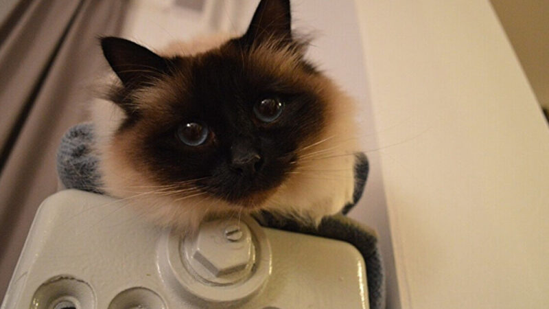 В Україні стартує опалювальний сезон: які міста вже з теплом