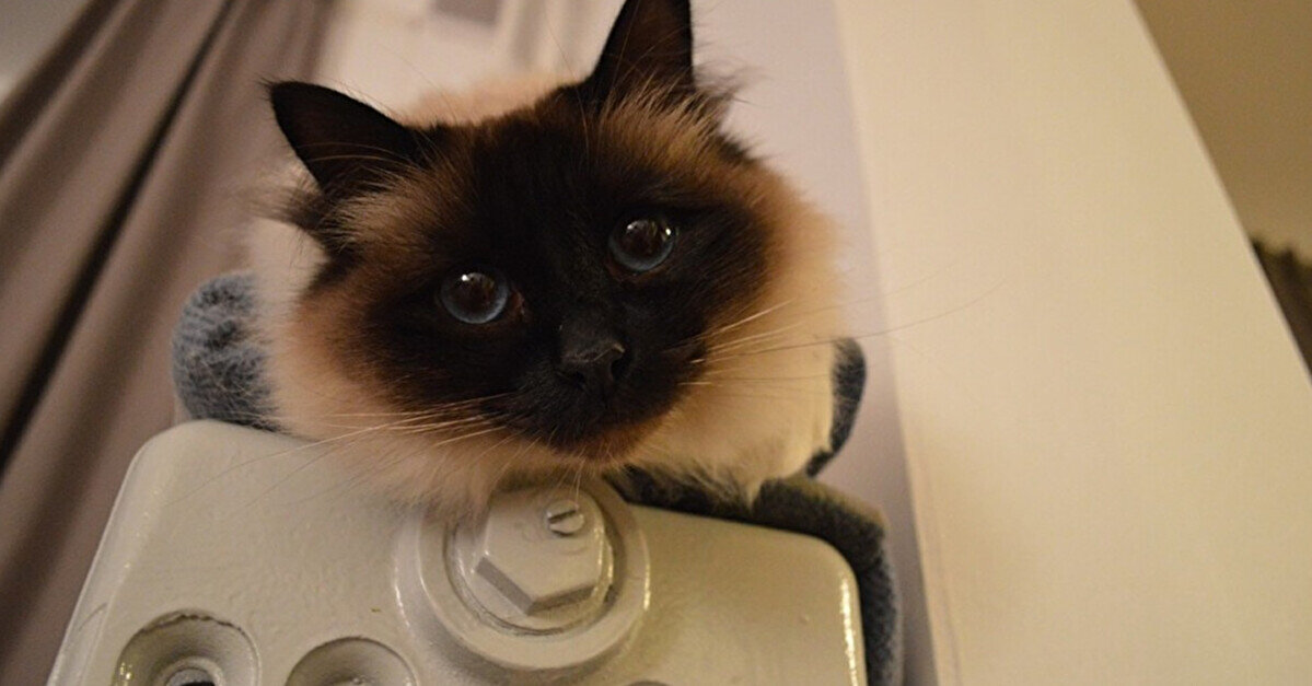 В Україні стартує опалювальний сезон: які міста вже з теплом