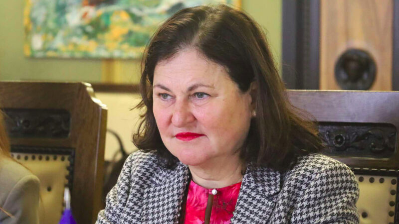 Матернова розповіла, як планують обходити вето Орбана на рух України в ЄС