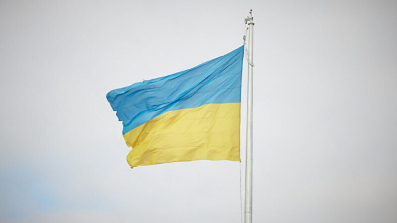 Скільки українців вважають, що владу не можна критикувати – опитування