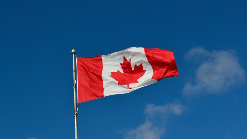 Канада вивчає, як до Росії потрапила канадська зброя