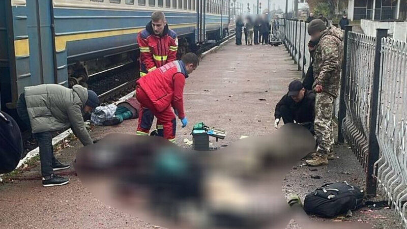 Перевірка документів завершилася трагедією: все про вибух гранати на Житомирщині