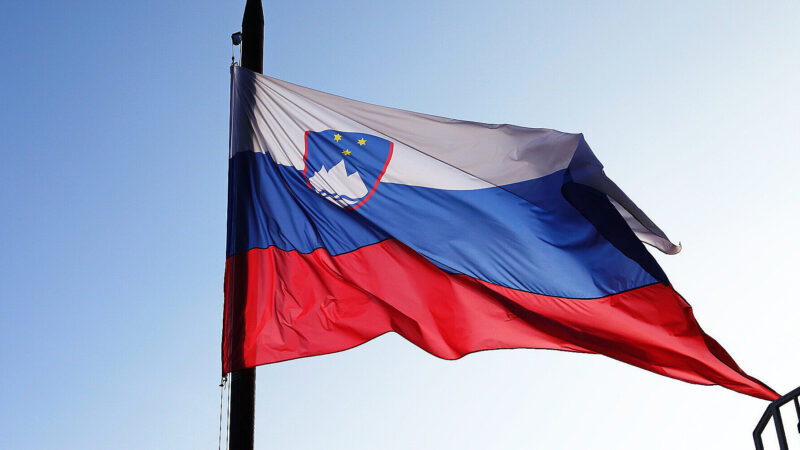 Словенія виділила кошти на покупку американської зброї для України