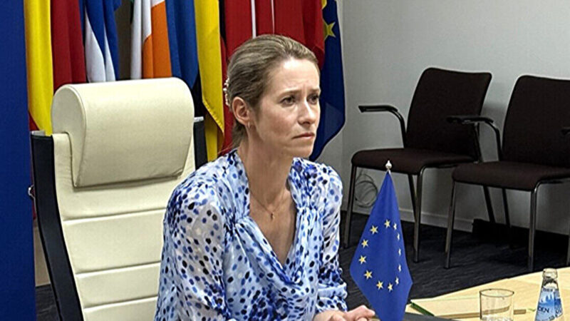 Каллас підтвердила, що проєкт “стіна дронів” пошириться на весь ЄС