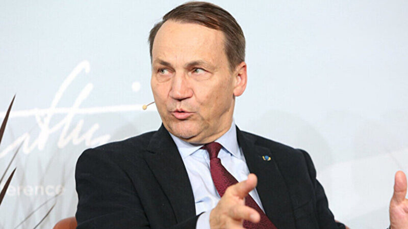 Сікорський: Україна не увійде в ЄС, якщо буде ігнорувати корупцію