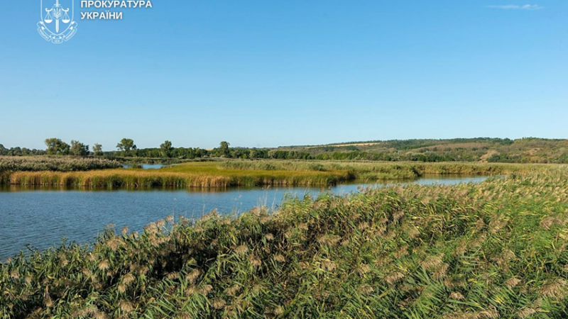 6,9 млн грн збитків: на Дніпропетровщині судитимуть колишнього посадовця лісгоспу за незаконну вирубку дерев